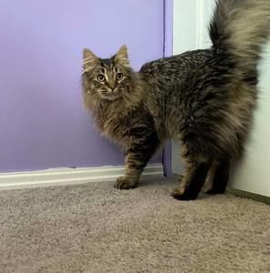 Meet your Posher, Melissa